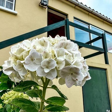 Luana House Apartment Biscoitos  Екстериор снимка