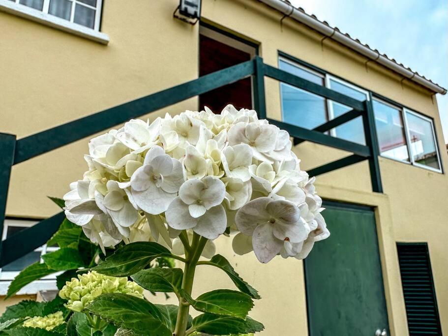 Luana House Apartment Biscoitos  Екстериор снимка